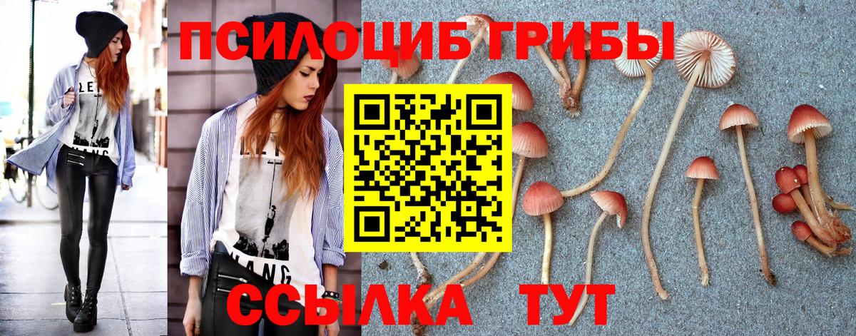 Псилоцибиновые грибы Magic Shrooms Биробиджан